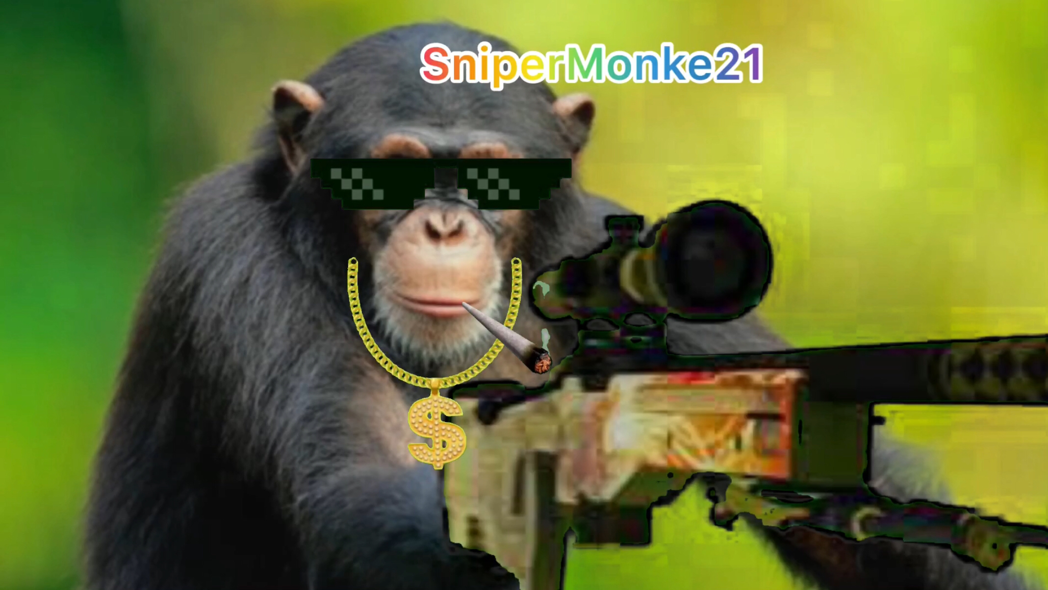 snipermonke21's Profile Picture on PvPRP